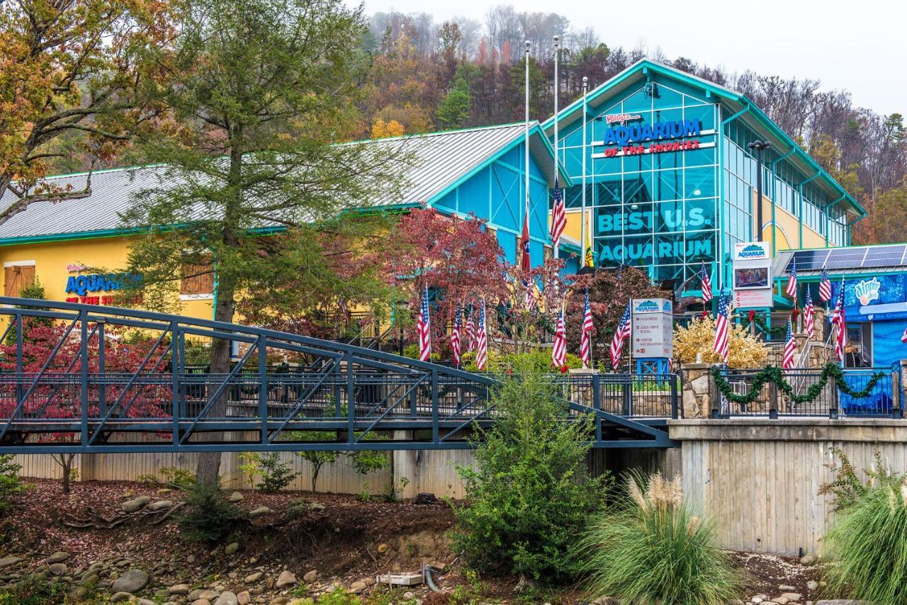 Bear View Chalet, 3 Bedroom, Pool, Pets, Arcades, Wifi, Hot Tub, Sleeps 12 Gatlinburg Luaran gambar