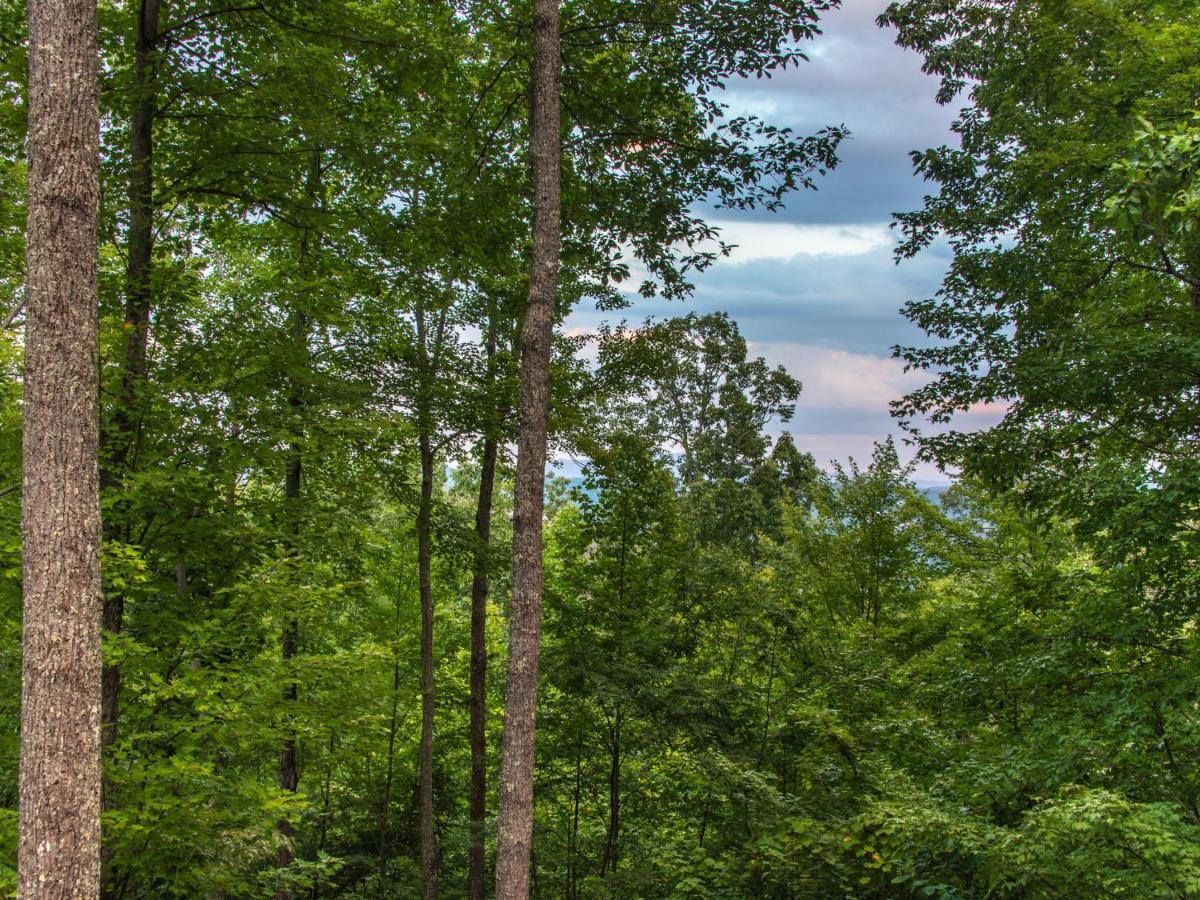 Bear View Chalet, 3 Bedroom, Pool, Pets, Arcades, Wifi, Hot Tub, Sleeps 12 Gatlinburg Luaran gambar